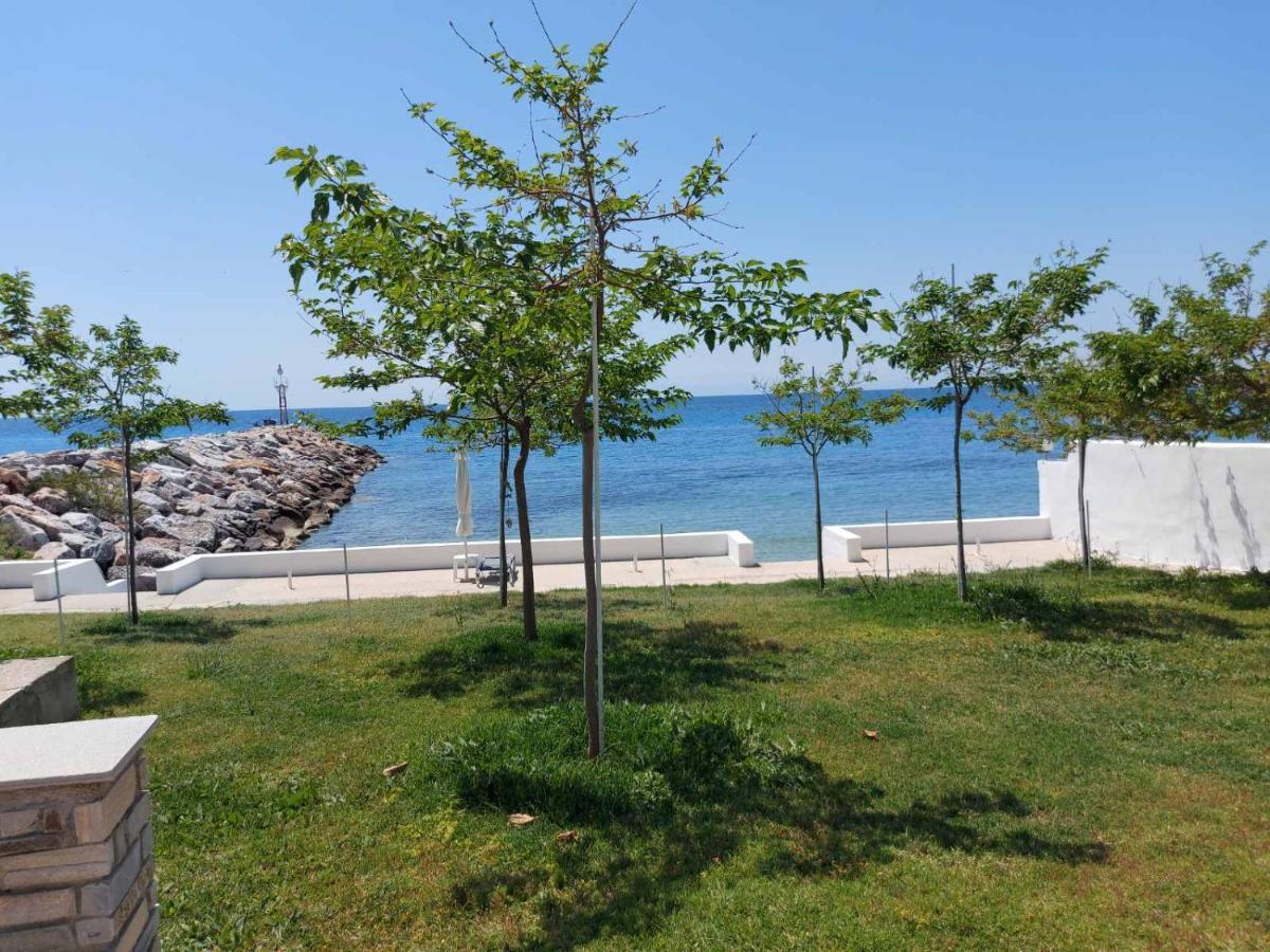 Pansion Alexandros By The Sea Aparthotel Nea Skioni Ngoại thất bức ảnh